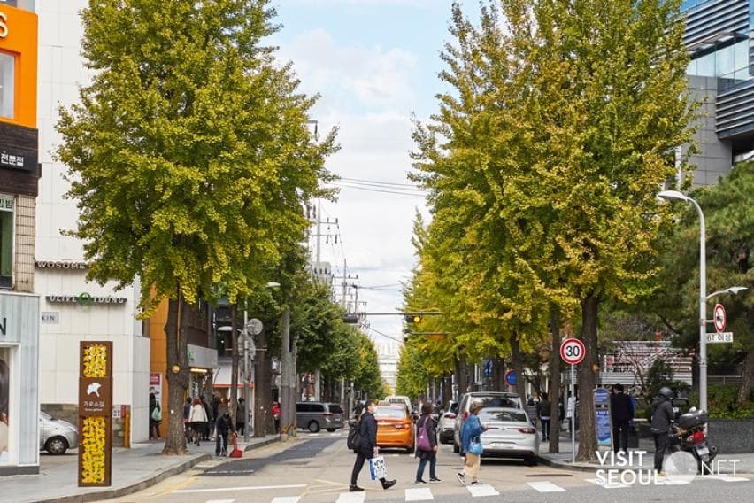 Gangnam (강남) — photo 12