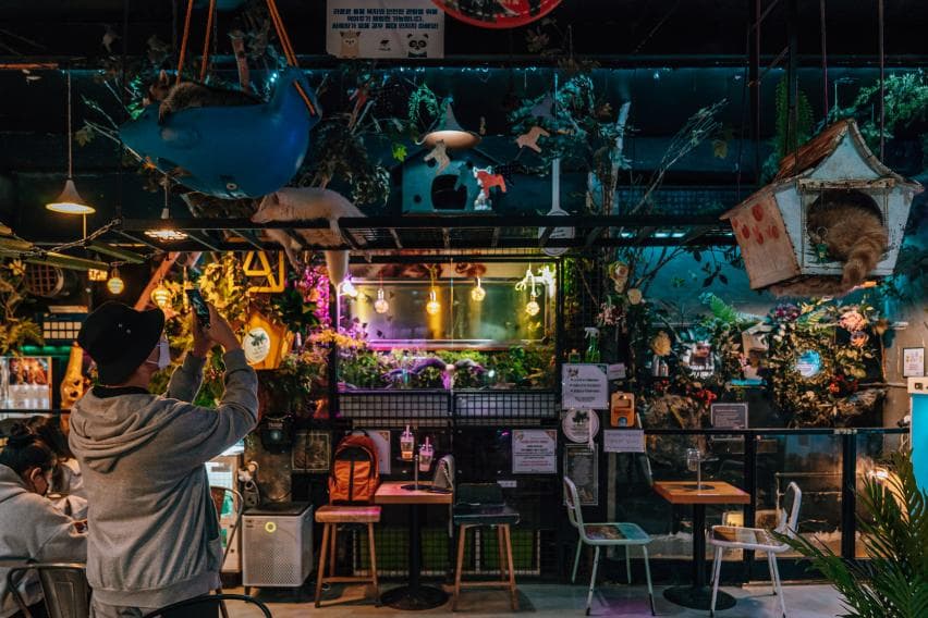 Hongdae (홍대) — photo 6