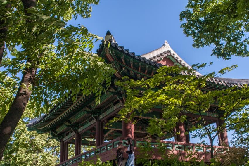 Mangwon (망원) — photo 8