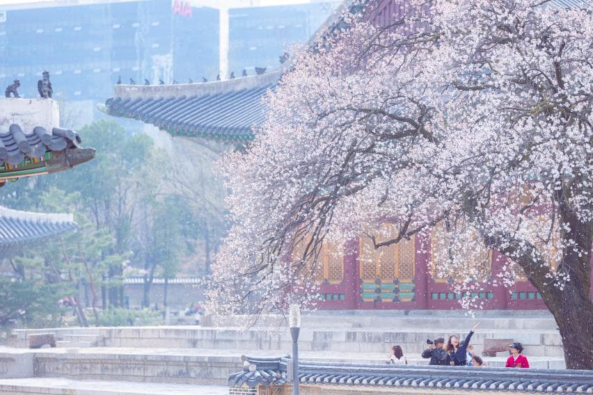 Jongno (종로) — photo 6