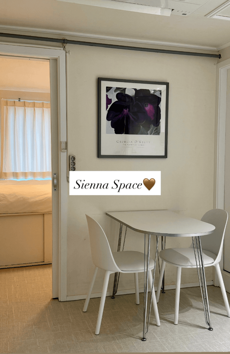 Jamsil 33 sqm Furnished 1-Bedroom Home