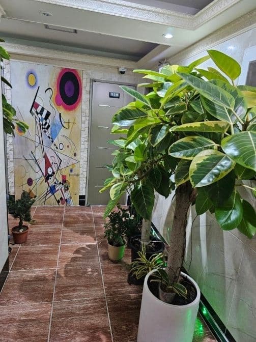 Rooftop Cafe Studio Steps from Myeongdong and Insadong