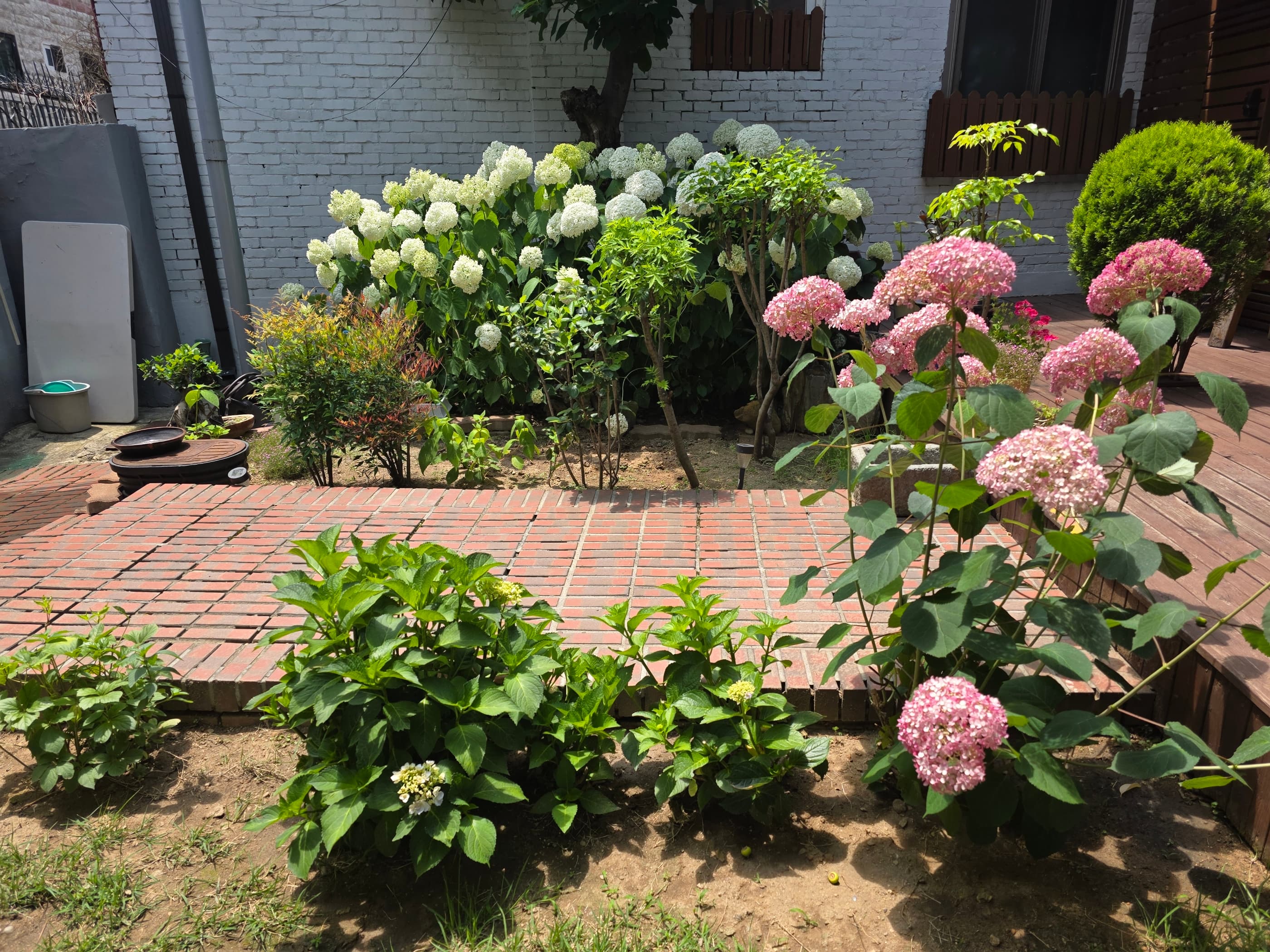 Mangwon/Hongdae LUXURY — 215㎡ 5BR House (Pet-Friendly, Sleeps Many)